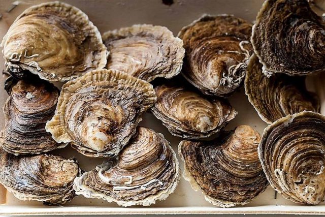 Restaurant Kent Orpington Summer Gourmet Nights