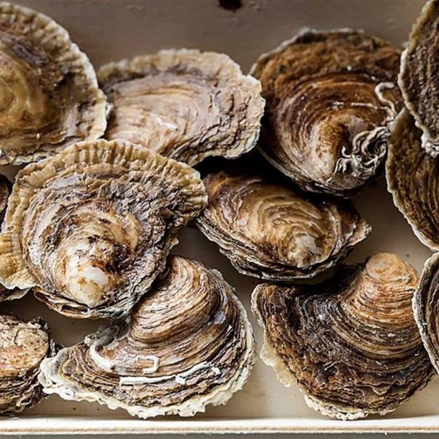 Restaurant Kent Orpington Summer Gourmet Nights