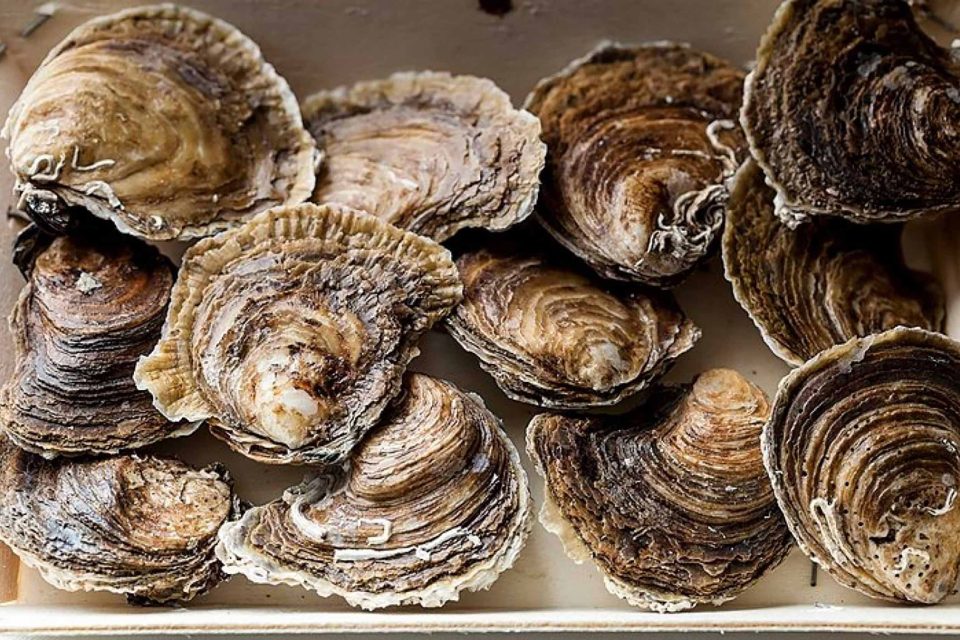 Restaurant Kent Orpington Summer Gourmet Nights