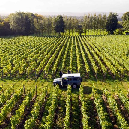 Wine Club Event Experience Restaurant Brasserie Bromley Kent Locksbottom Fine Dining Michelin Guide